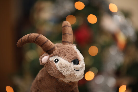 Shallow focus of a cute ibe plush toy on blurred bokeh lights background