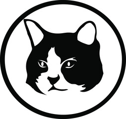 cat vector isolated on background