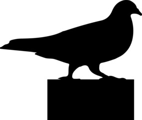 bird vector illustration isolated on background