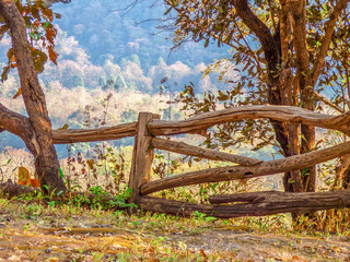 Hand made wooden fence in the Thailand country side