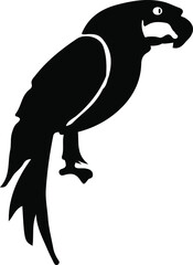 bird vector illustration isolated on background