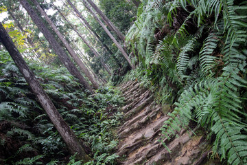 熊野古道