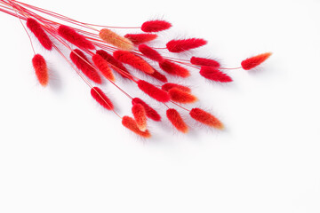 Bunch of dry red herbs with ribbons on a white background with copy space. Blank for holiday greeting cards