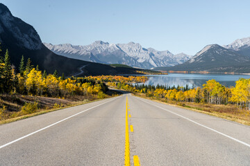 Fototapeta premium In the middle road in autumn