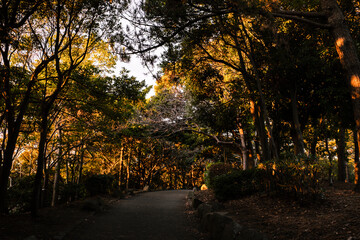Naklejka premium 海の公園の夕景
