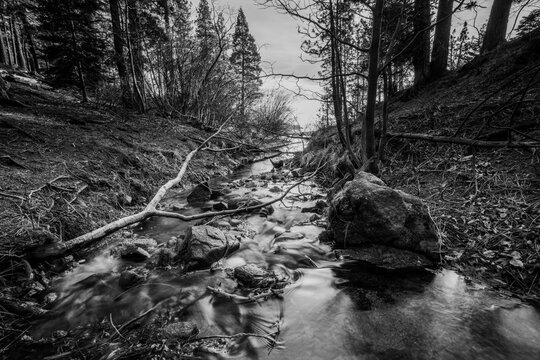 Black and white image of Marlette Creek running into Lake Tahoe.