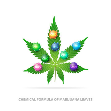 Chemical formula of marijuana leaves. Green leaf of cannabis with 3D molecules of chemical formula of cannabis