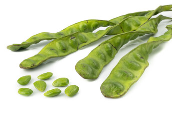 Parkia speciosa seeds, Sato seeds, bitter bean isolated on white background.Thai vegetable food
