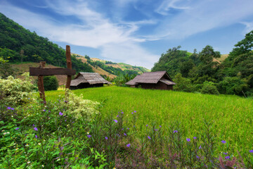 Fototapeta na wymiar The beautiful nature of green rice fields and ancient farmer huts that are open as homestays welcome visitors to appreciate nature in Chiang Mai, Thailand.