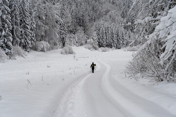 Schneeschuhwandern am Klippeneck Spaichingen