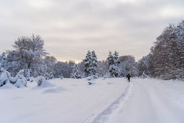 Schneeschuhwandern am Klippeneck Spaichingen