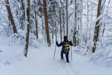 Schneeschuhwandern am Klippeneck Spaichingen