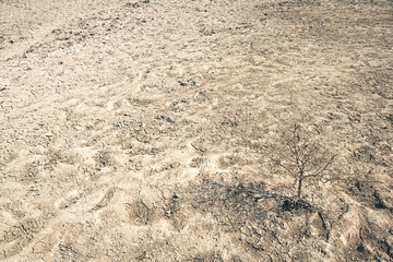 Landscape ground cracks drought crisis environment background.
