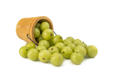 Indian gooseberry or amla green fruits from Emblic tree (Phyllanthus emblica) isolated on white background