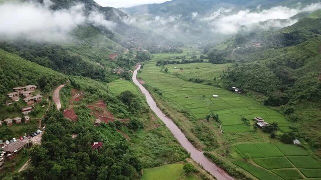 Beautiful aerial view of Wah river runs through rice paddy field in Sapan village of Nan province of Thailand in rainy season. Thailand has a strong tradition of rice production. Footage from drone.