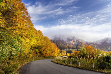 秋の国道