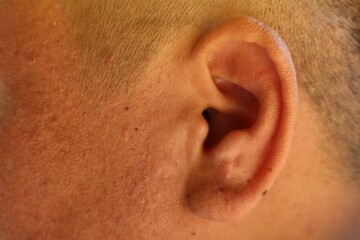 Obraz premium close up of ear