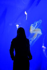 acuario, azul, mar, atlanta, meduza © jonatan