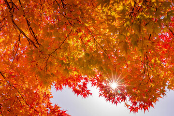 暖色系のグラデーション