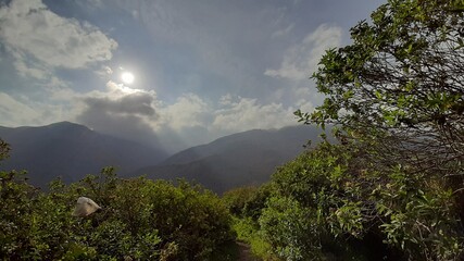 Nature