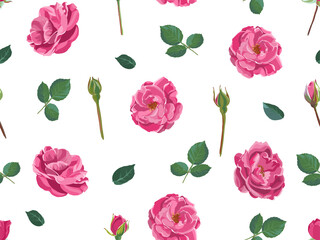Pink roses with petals and leaves seamless pattern