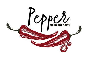 Pepper fresh and tasty herbs and spices vector