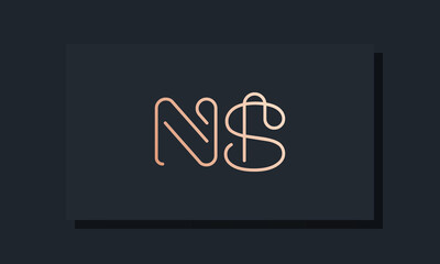 Minimal clip initial letter NS logo