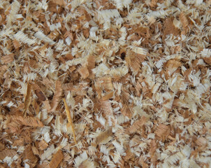 Sawdust or wood dust texture background.