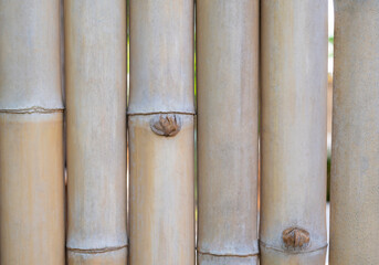 Close-up of bamboo cylinder texture with the vertical pattern background for text design.