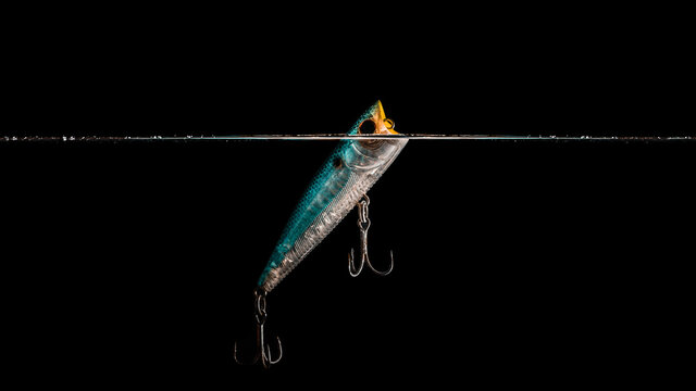 Popper Fishing Lure Action In The Water