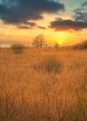 A view of a marsh filled with reeds by a lake with an amazing sunset in the background. Picture from Lund, southern Sweden