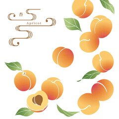 アプリコットのイラスト/手ぬぐい風/和柄