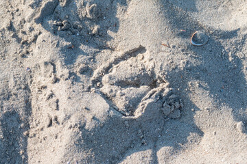 Spuren im Sand