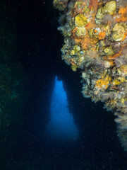 Inside of underwater cave (Mergui archipelago, Myanmar)