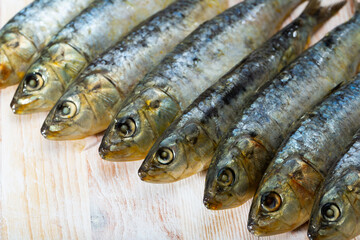 Fototapeta premium Closeup of marinated sardines lined in row on wooden table. Sea delicacy