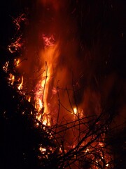 Eine hohe Flamme vor schwarzem Nachthimmel.