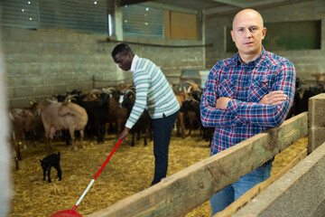 Successful male owner of goats farm posing inside barn with animals