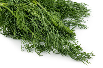 Fresh green dill (Anethum graveolens) isolated on the white background