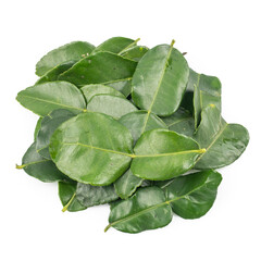 Bergamot leaf isolated on the white background. Herbs with Essential Oils Aromatherapy