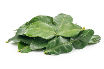 Bergamot leaf isolated on the white background. Herbs with Essential Oils Aromatherapy