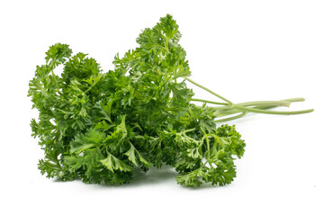 Fresh parsley green leaves (Petroselinum crispum) isolated on white background