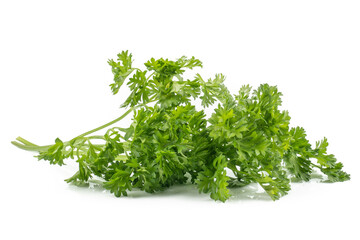 Fresh parsley green leaves (Petroselinum crispum) isolated on white background