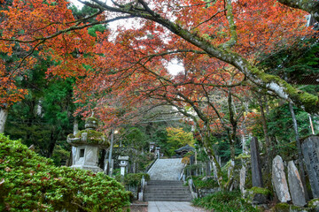 Fototapeta na wymiar temple in autumn