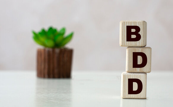 BDD word on wooden cubes on a light background with a cactus