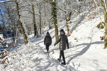 Belgique Wallonie Gaume Habay hiver bois foret nature lac neige sentier promenade promeneur couple - obrazy, fototapety, plakaty