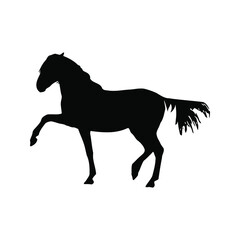 Fototapeta na wymiar Horse collection - vector silhouette