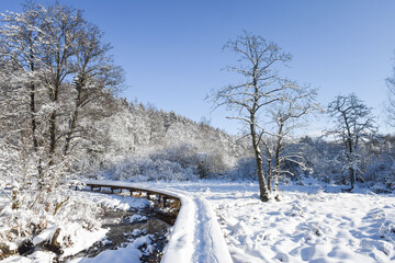 Belgique Wallonie Gaume Habay hiver bois foret nature lac neige passerelle