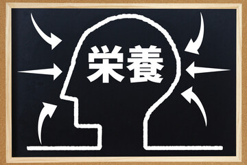 脳に栄養