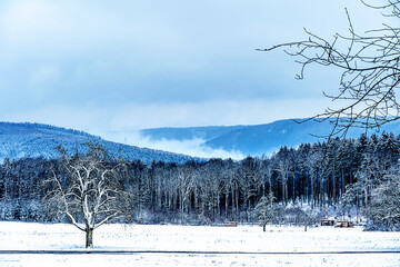 Winter Wonderland Katzenbuckel Germany