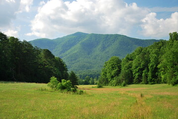 Fototapeta na wymiar Landschaft im Great Smoky Mountains National Park, Tennessee